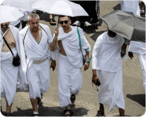جمعية سلسبيل تستعرض إنجازاتها في خدمة ضيوف الرحمن
